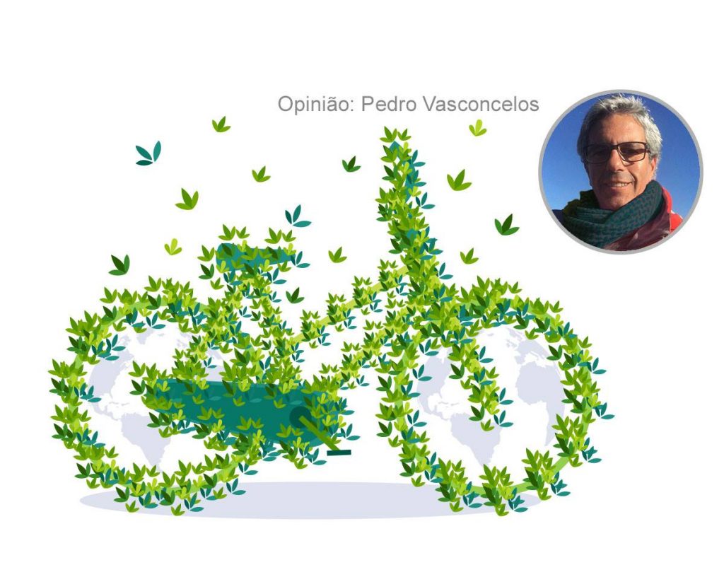 A falácia do impacto zero - Opinião de Pedro Gil de Vasconcelos